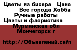 Цветы из бисера › Цена ­ 700 - Все города Хобби. Ручные работы » Цветы и флористика   . Мурманская обл.,Мончегорск г.